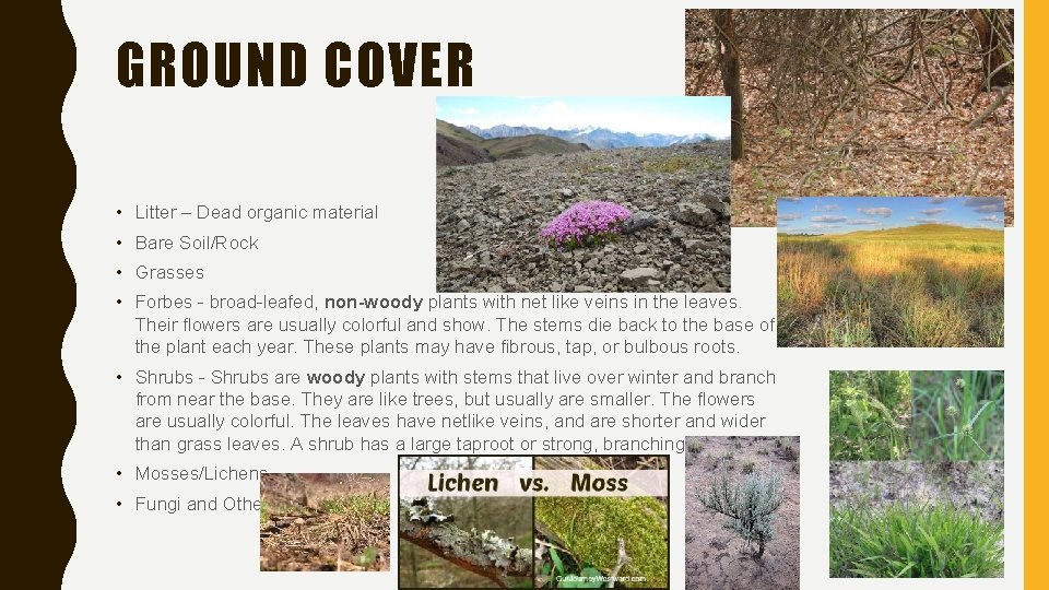 GROUND COVER • Litter – Dead organic material • Bare Soil/Rock • Grasses •