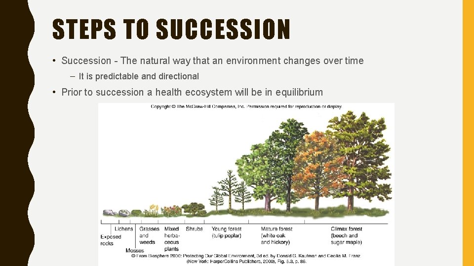 STEPS TO SUCCESSION • Succession - The natural way that an environment changes over