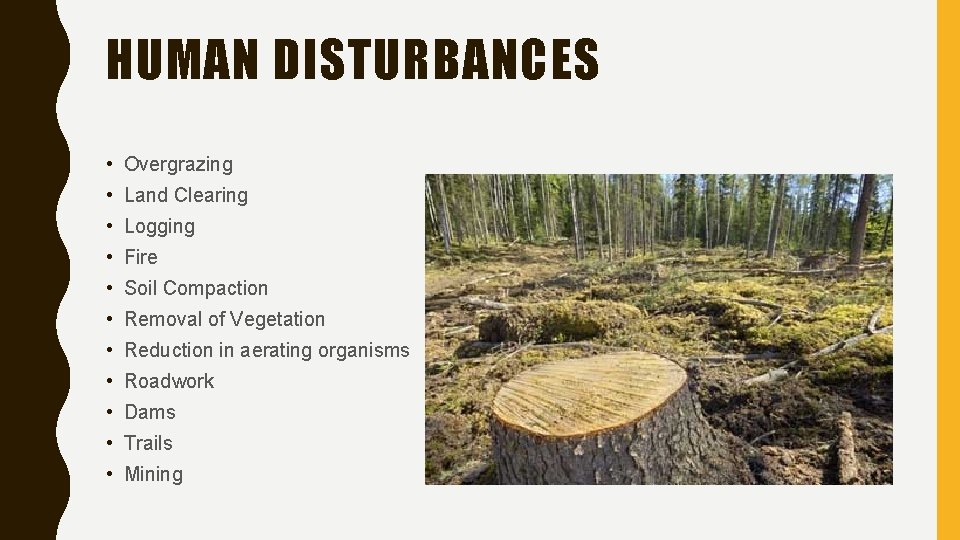 HUMAN DISTURBANCES • Overgrazing • Land Clearing • Logging • Fire • Soil Compaction