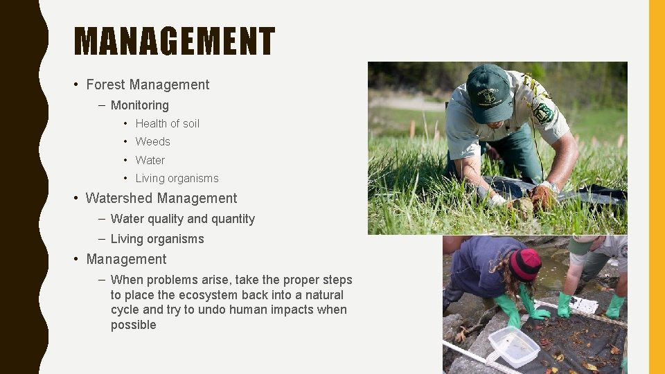 MANAGEMENT • Forest Management – Monitoring • Health of soil • Weeds • Water