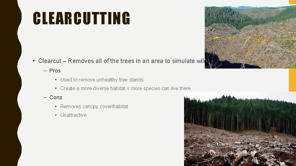 CLEARCUTTING • Clearcut – Removes all of the trees in an area to simulate