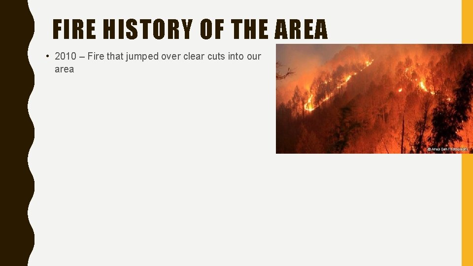 FIRE HISTORY OF THE AREA • 2010 – Fire that jumped over clear cuts