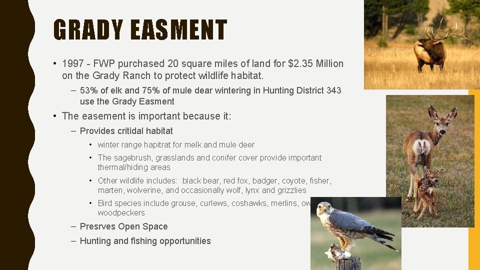 GRADY EASMENT • 1997 - FWP purchased 20 square miles of land for $2.