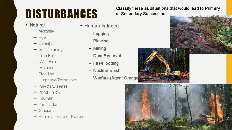 DISTURBANCES • Natural – – – – Classify these as situations that would lead