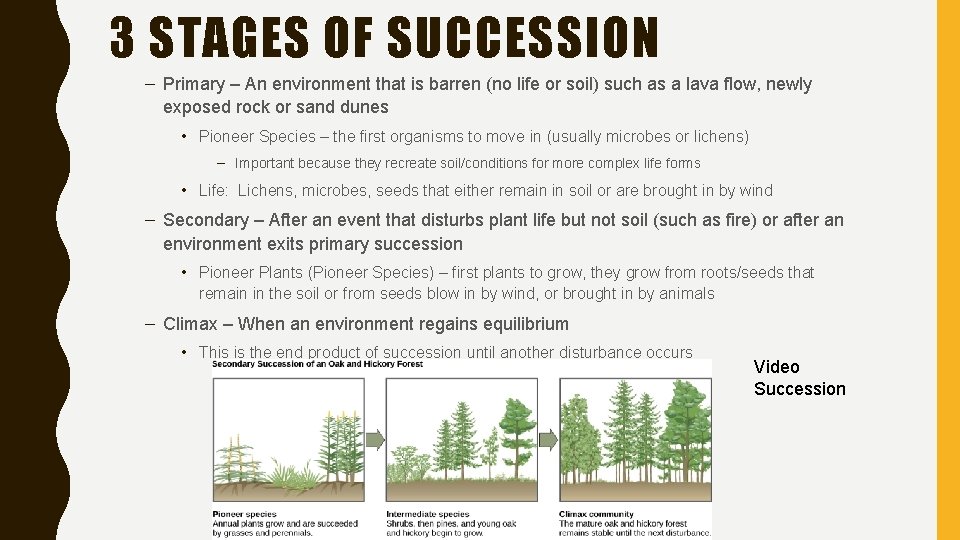 3 STAGES OF SUCCESSION – Primary – An environment that is barren (no life