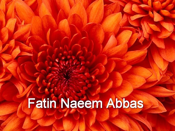 Fatin Naeem Abbas 