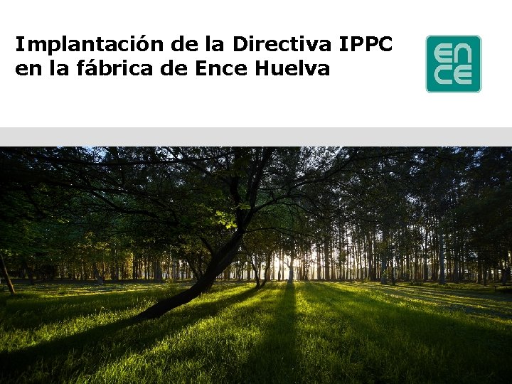 Implantación de la Directiva IPPC en la fábrica de Ence Huelva 