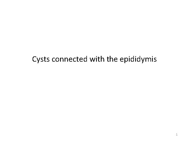 Cysts connected with the epididymis 1 