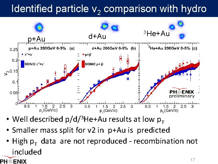 Identified particle v 2 comparison with hydro p+Au d+Au 3 He+Au • Well described