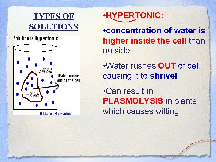 TYPES OF SOLUTIONS • HYPERTONIC: • concentration of water is higher inside the cell