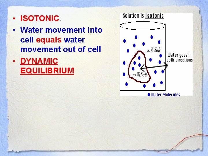  • ISOTONIC: • Water movement into cell equals water movement out of cell