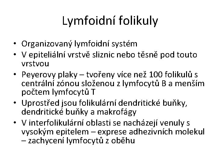 Lymfoidní folikuly • Organizovaný lymfoidní systém • V epiteliální vrstvě sliznic nebo těsně pod