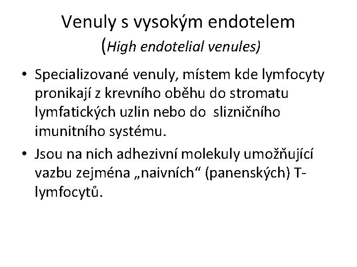 Venuly s vysokým endotelem (High endotelial venules) • Specializované venuly, místem kde lymfocyty pronikají