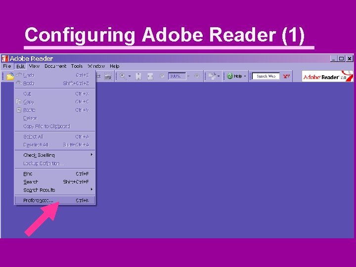 Configuring Adobe Reader (1) 