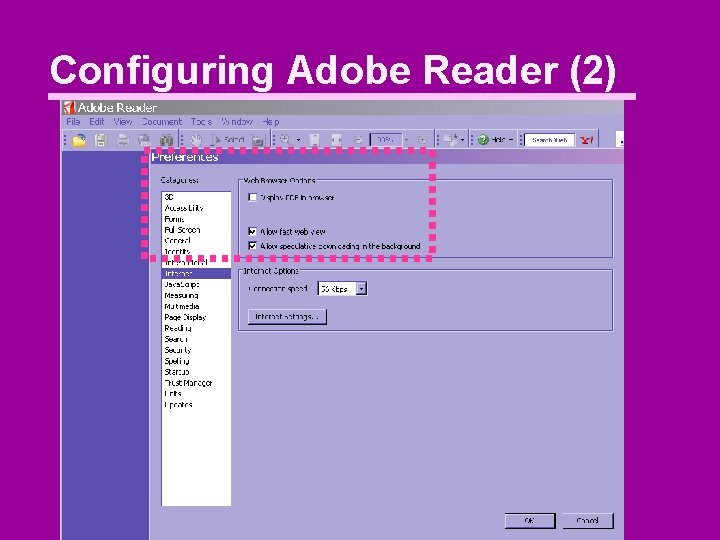 Configuring Adobe Reader (2) 