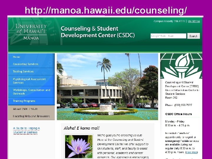 http: //manoa. hawaii. edu/counseling/ 