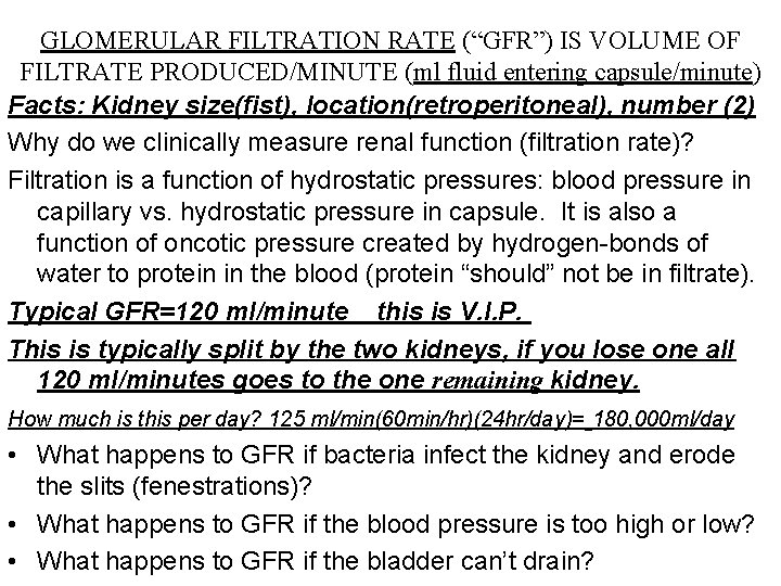 GLOMERULAR FILTRATION RATE (“GFR”) IS VOLUME OF FILTRATE PRODUCED/MINUTE (ml fluid entering capsule/minute) Facts: GLOMERULAR FILTRATION RATE (“GFR”) IS VOLUME OF FILTRATE PRODUCED/MINUTE (ml fluid entering capsule/minute) Facts: