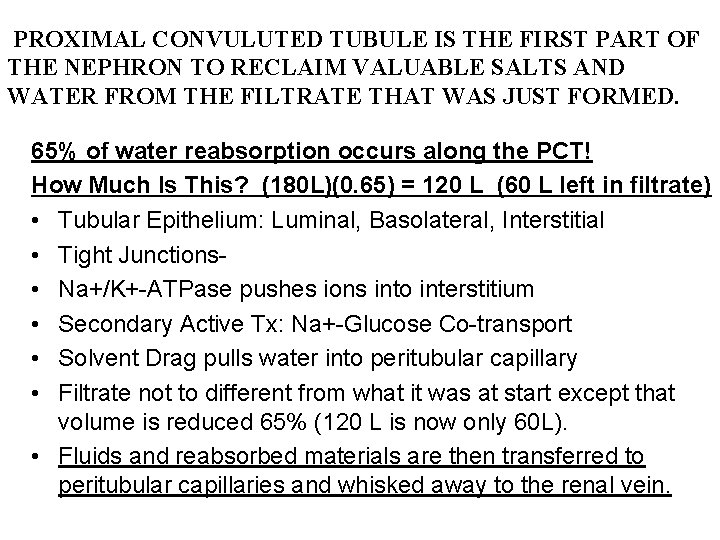 PROXIMAL CONVULUTED TUBULE IS THE FIRST PART OF THE NEPHRON TO RECLAIM VALUABLE SALTS PROXIMAL CONVULUTED TUBULE IS THE FIRST PART OF THE NEPHRON TO RECLAIM VALUABLE SALTS