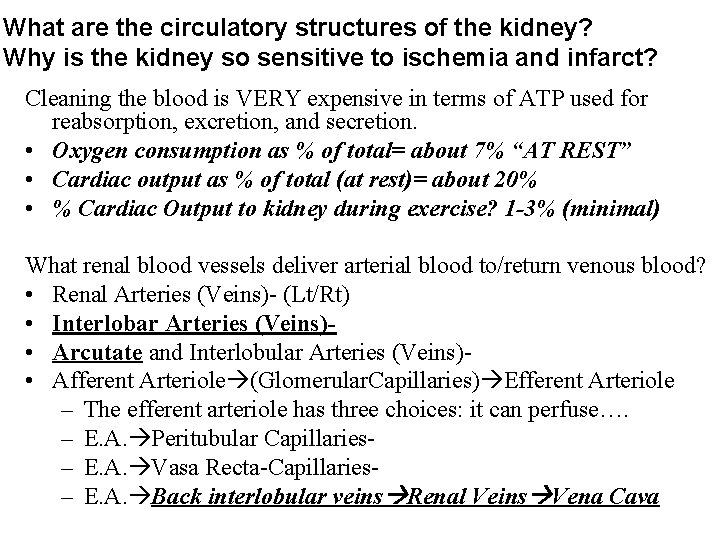 What are the circulatory structures of the kidney? Why is the kidney so sensitive What are the circulatory structures of the kidney? Why is the kidney so sensitive