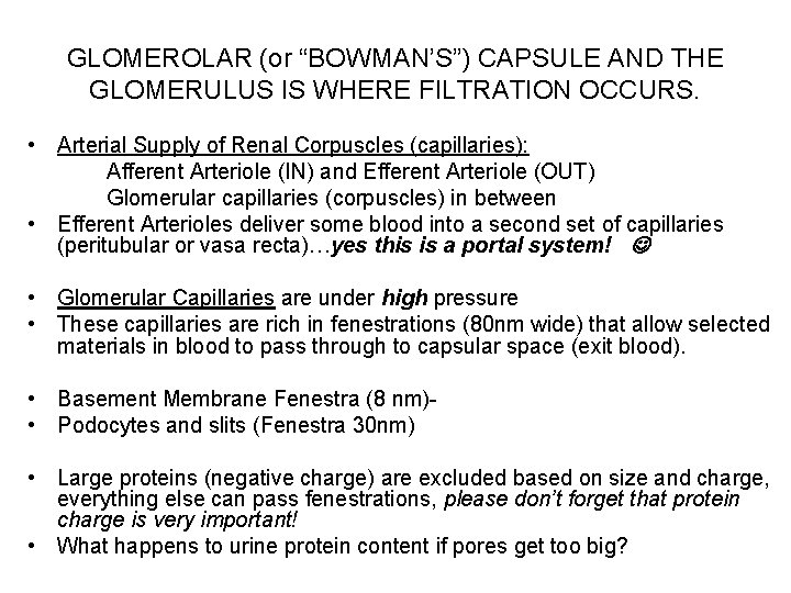 GLOMEROLAR (or “BOWMAN’S”) CAPSULE AND THE GLOMERULUS IS WHERE FILTRATION OCCURS. • Arterial Supply GLOMEROLAR (or “BOWMAN’S”) CAPSULE AND THE GLOMERULUS IS WHERE FILTRATION OCCURS. • Arterial Supply