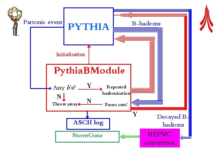 Partonic event PYTHIA B-hadrons Initialisation Pythia. BModule Any b’s? N Throw away Y N
