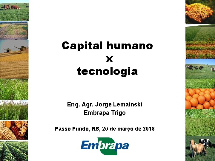 Capital humano x tecnologia Eng. Agr. Jorge Lemainski Embrapa Trigo Passo Fundo, RS, 20 Capital humano x tecnologia Eng. Agr. Jorge Lemainski Embrapa Trigo Passo Fundo, RS, 20