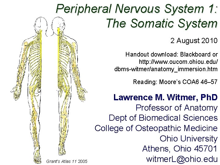 Peripheral Nervous System 1: The Somatic System 2 August 2010 Handout download: Blackboard or