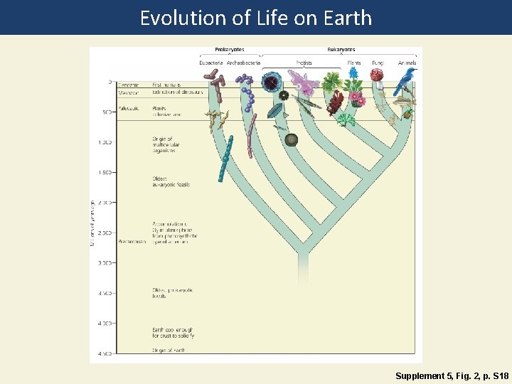 Evolution of Life on Earth Supplement 5, Fig. 2, p. S 18 
