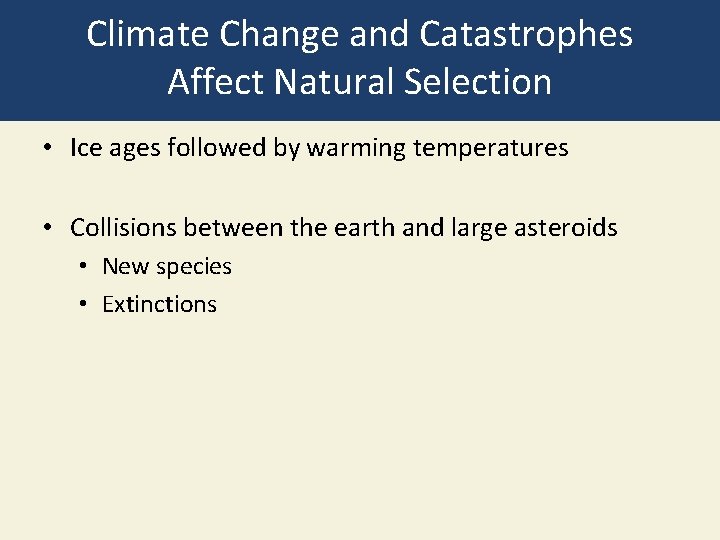 Climate Change and Catastrophes Affect Natural Selection • Ice ages followed by warming temperatures