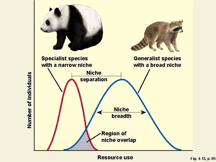 Number of individuals Specialist species with a narrow niche Niche separation Generalist species with