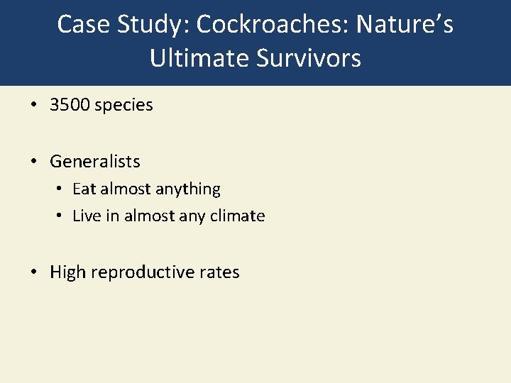 Case Study: Cockroaches: Nature’s Ultimate Survivors • 3500 species • Generalists • Eat almost