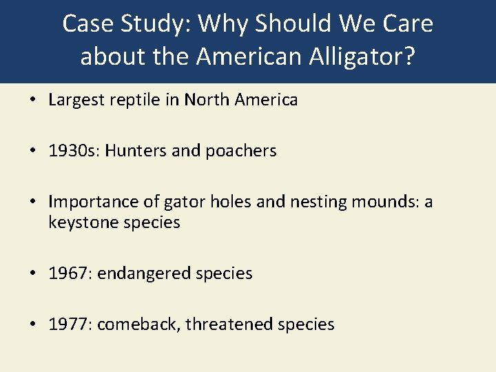 Case Study: Why Should We Care about the American Alligator? • Largest reptile in