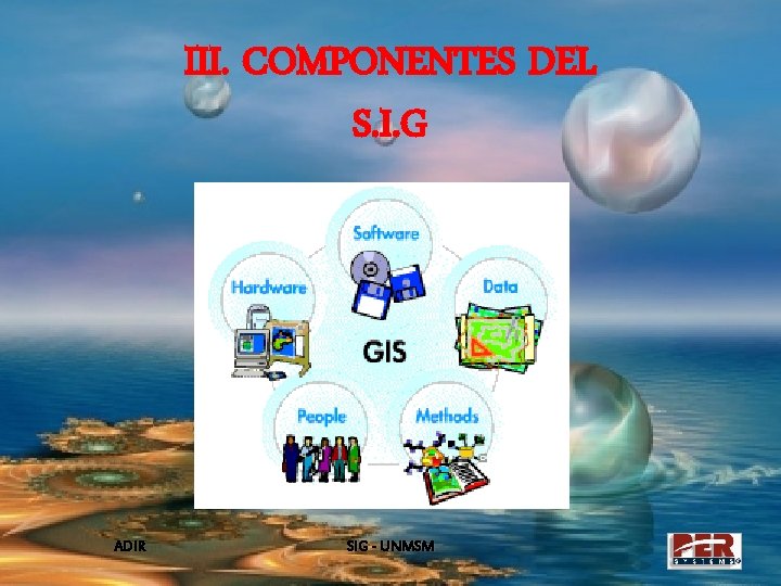 III. COMPONENTES DEL S. I. G ADIR SIG - UNMSM 