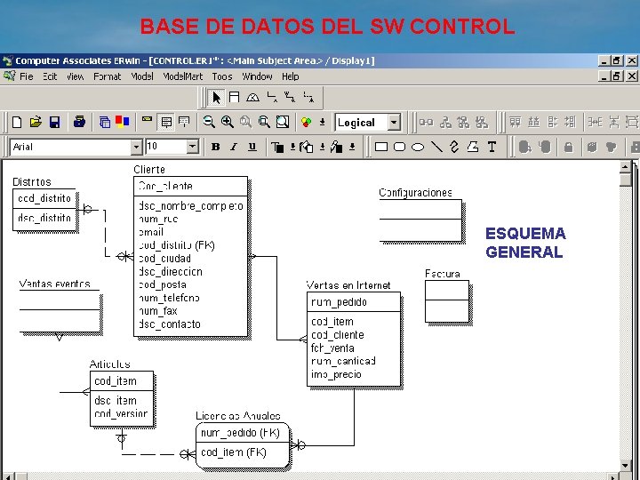 BASE DE DATOS DEL SW CONTROL ESQUEMA GENERAL ADIR SIG - UNMSM 