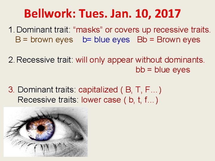 Bellwork: Tues. Jan. 10, 2017 1. Dominant trait: “masks” or covers up recessive traits.