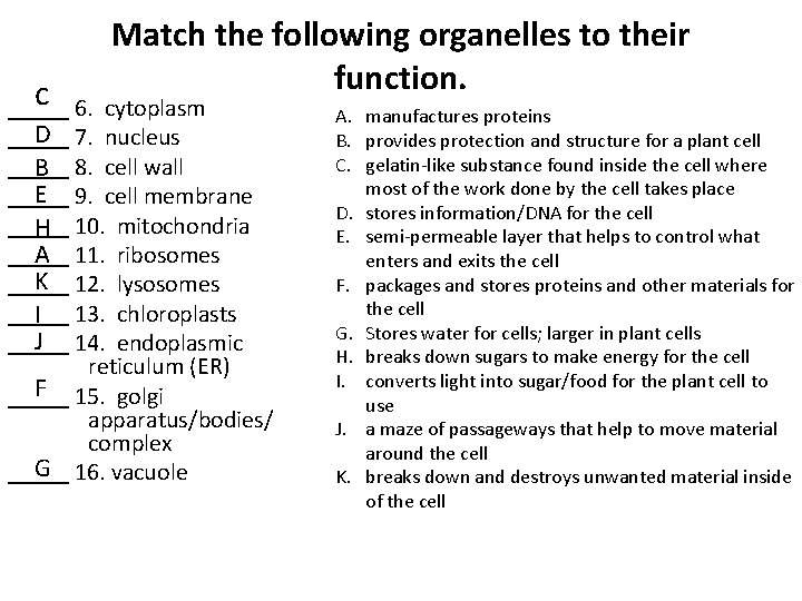 Match the following organelles to their function. c _____ 6. cytoplasm D _____ 7. Match the following organelles to their function. c _____ 6. cytoplasm D _____ 7.