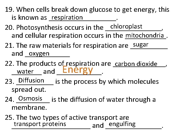 19. When cells break down glucose to get energy, this respiration is known as 19. When cells break down glucose to get energy, this respiration is known as
