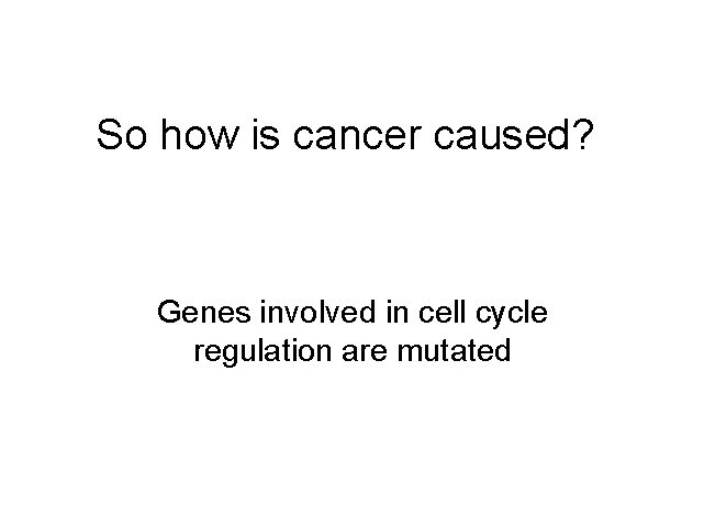 So how is cancer caused? Genes involved in cell cycle regulation are mutated 