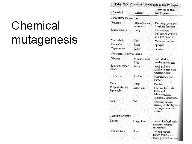 Chemical mutagenesis 