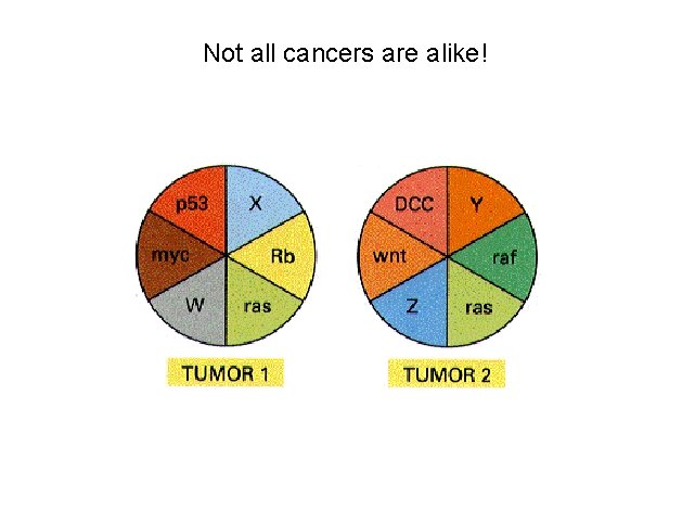 Not all cancers are alike! 