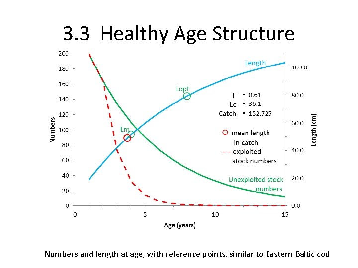 3. 3 Healthy Age Structure Numbers and length at age, with reference points, similar