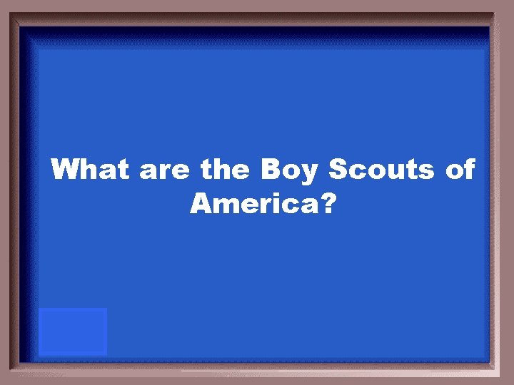 What are the Boy Scouts of America? 