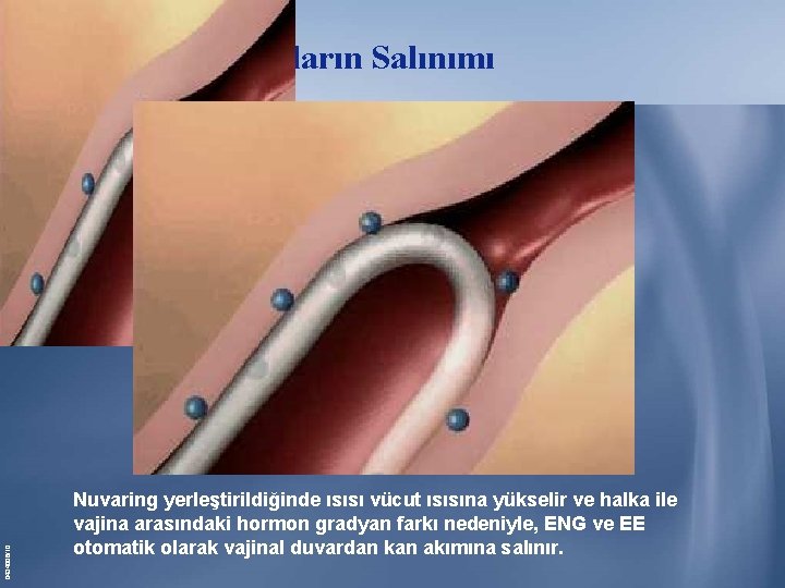 0434006/10 Hormonların Salınımı Nuvaring yerleştirildiğinde ısısı vücut ısısına yükselir ve halka ile vajina arasındaki 0434006/10 Hormonların Salınımı Nuvaring yerleştirildiğinde ısısı vücut ısısına yükselir ve halka ile vajina arasındaki