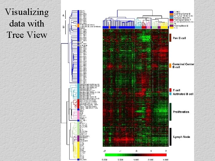 Visualizing data with Tree View 