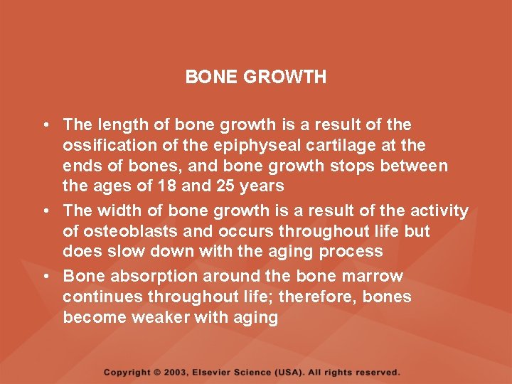 BONE GROWTH • The length of bone growth is a result of the ossification