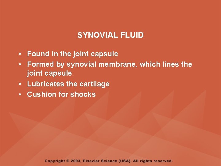 SYNOVIAL FLUID • Found in the joint capsule • Formed by synovial membrane, which
