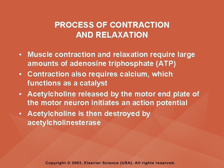 PROCESS OF CONTRACTION AND RELAXATION • Muscle contraction and relaxation require large amounts of