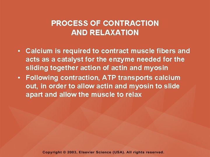 PROCESS OF CONTRACTION AND RELAXATION • Calcium is required to contract muscle fibers and