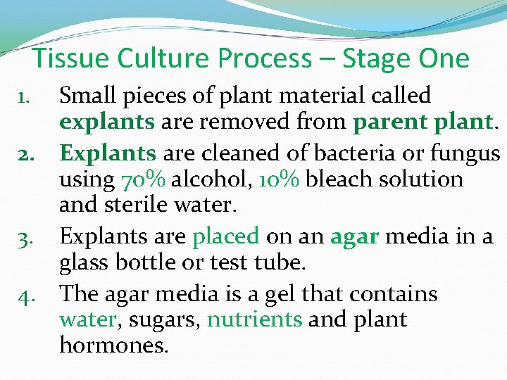 Tissue Culture Process – Stage One Small pieces of plant material called explants are