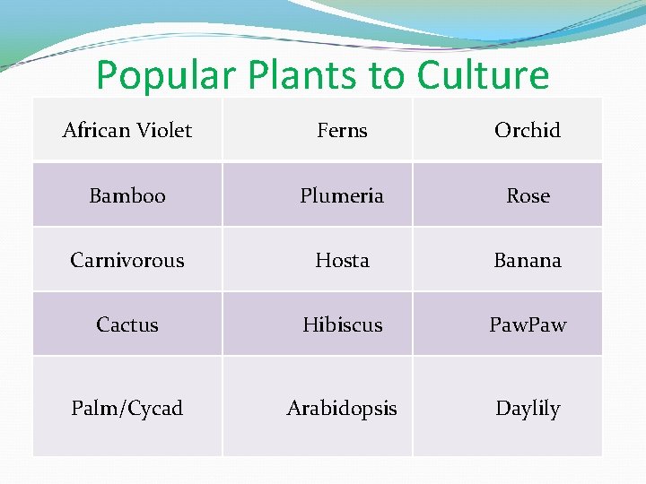 Popular Plants to Culture African Violet Ferns Orchid Bamboo Plumeria Rose Carnivorous Hosta Banana